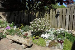 Tuin Bert Stegeman